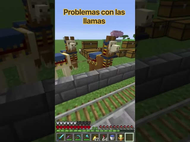 Problemas con las llamas peruanas. #minecraft #llamas #shorts #wanderingtrader #minecraftsurvival