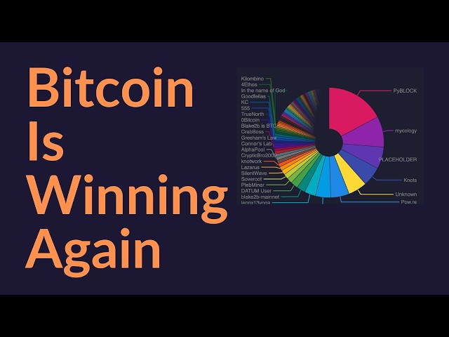 Bitcoin Is Winning Again