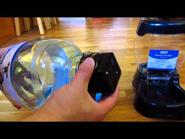 Petco / Petmate Water Dispenser Part 3 - Review Waterer