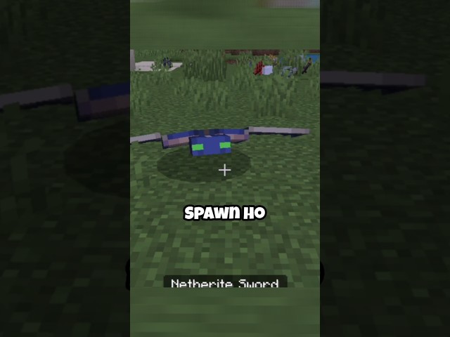Phantom are secretly op😱