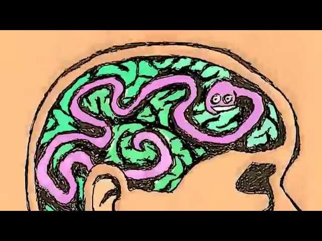 Brain Tapeworm