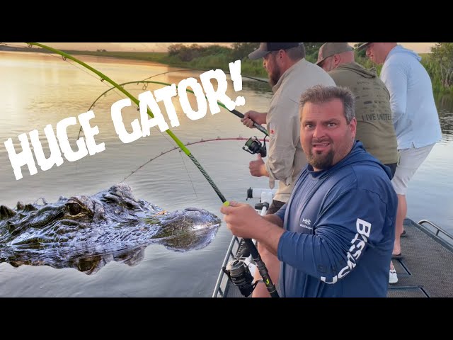 PUBLIC LAND Florida Gator Hunt For A MASSIVE GATOR With 3 Legs!