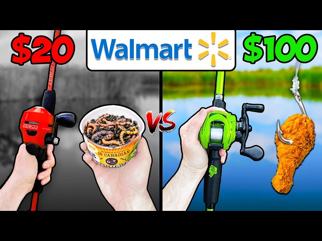 $20 vs $100 Walmart Budget Fishing Challenge