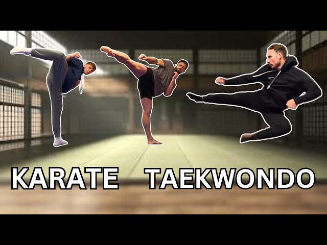 TAEKWONDO vs KARATE | Comparing kicks