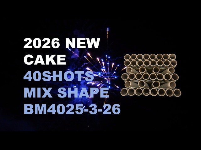 2026 NEW BM4025-3-26 25*30*175MM 40SHOTS MIX SHAPE F2 CAKE