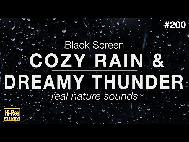 COZY RAIN and DREAMY THUNDER Sounds for Sleeping BLACK SCREEN