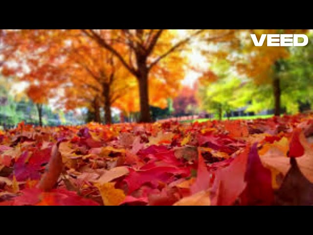 Otoño