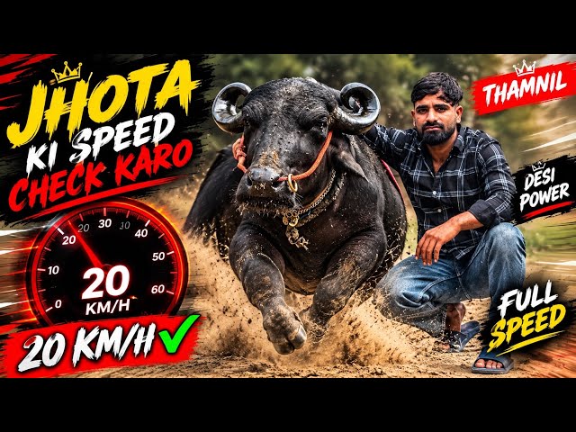 Speed check karo jhoota ki 20 kilometer ke bda m🚀😱/ganga ji java ga jhoota 2026 gadh ganga ji