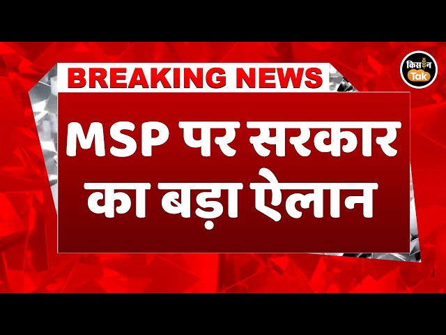Wheat MSP now ₹2610, Modi Cabinet makes major decisions for farmers | Cabinet Meeting #breaking