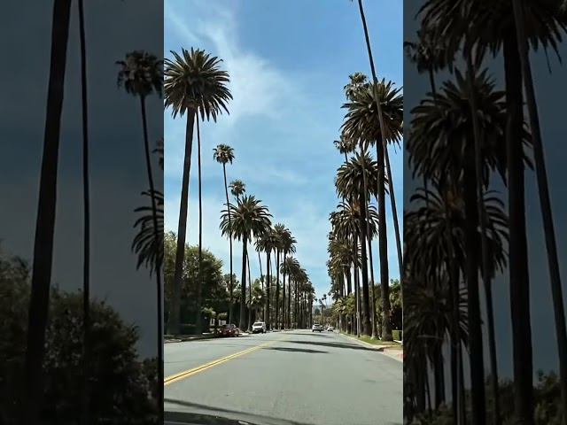 😇 Los Angeles calling #youtubeshorts #travel #losangeles #shorts #shortsvideo