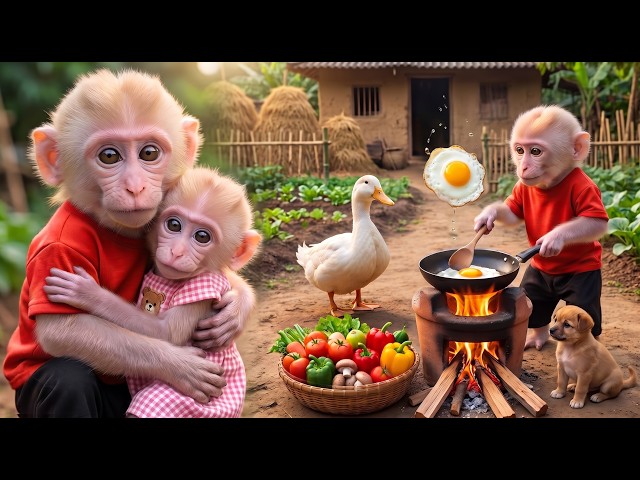 Monkey Xuka Amazing Farm Day! Harvesting Fresh Food & Cooking a Delicious Meal!