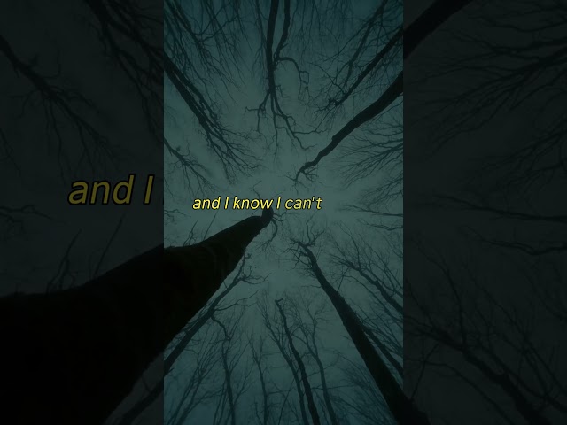 I am sorry - Angels in Ashes (Official Audio)