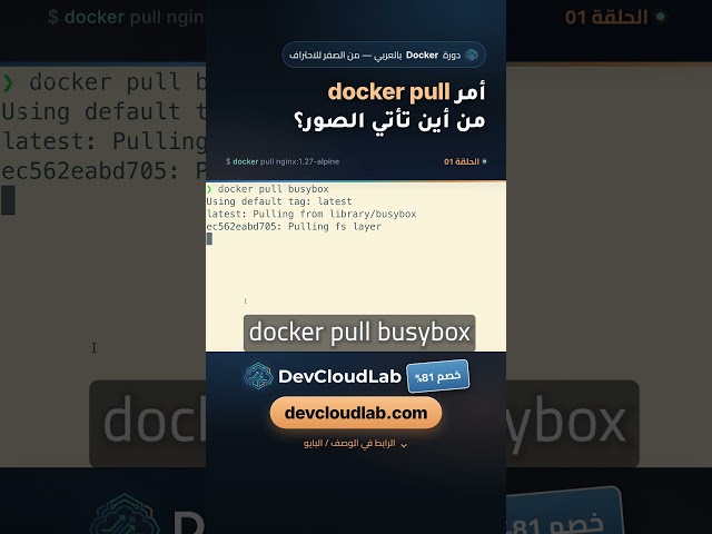 The docker pull command