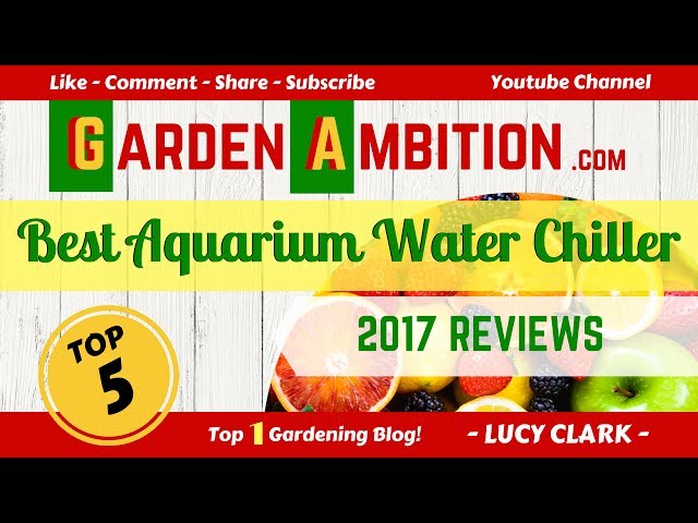 Best Aquarium Water Chiller 2017 (5 BEST REVIEWS)