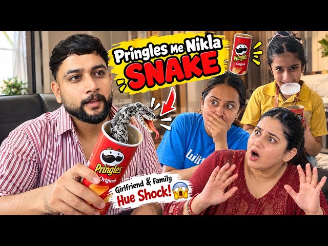 I Pranked My Family & Gf With A Snake In Pringles 😂🐍