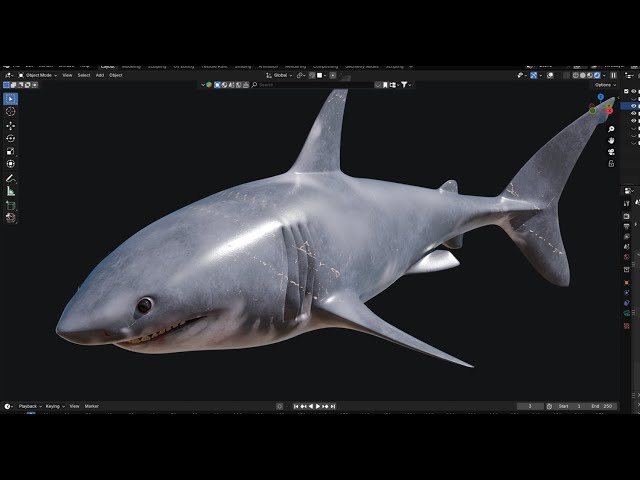 Animal 3D modeling process. (Shark) Blender timelapse