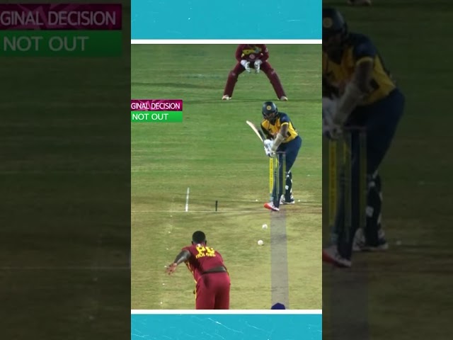 Is This LBW Out? ☝️ Umpire Challenge