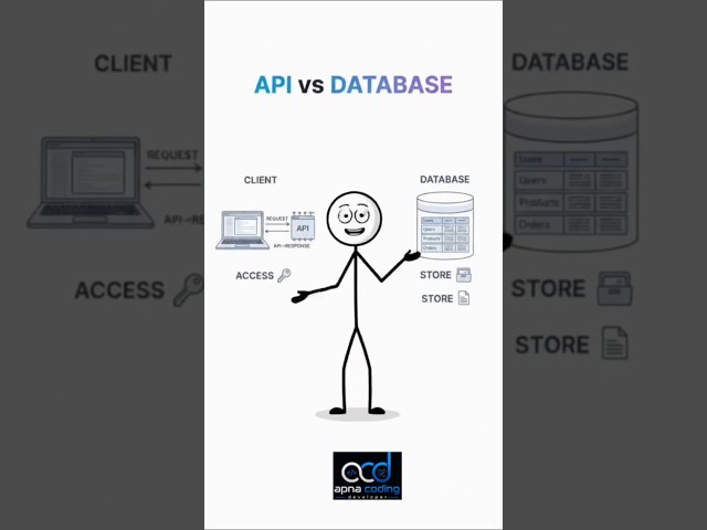 API vs Database in 30 Seconds 🚀 | Web Development Basics #coding #office #development