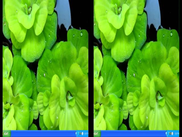 Watery Desktop 3D Full 3 9+Serial