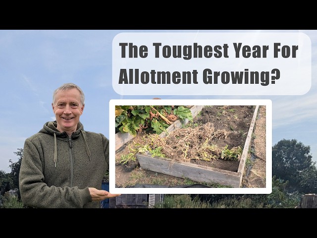 Has This Been The Toughest Year For Growing On An Allotment?