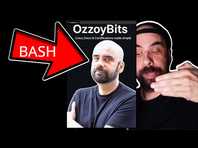 SIXEL Graphics in the Terminal — Images in Bash?!