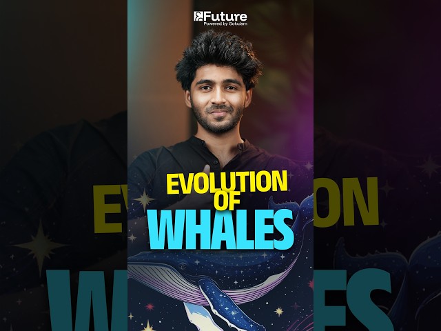 Evolution of Whales | Future Plus One