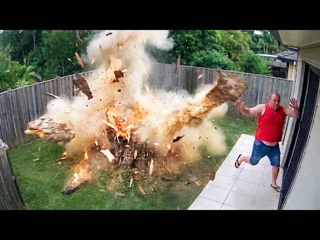 Funniest Lawn Mowing & Gardening Fails | Yard Work Gone Wrong 🤣