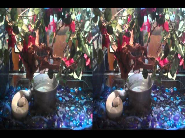 3D Blue Eyed Lucifer am 4ten Juni 2012