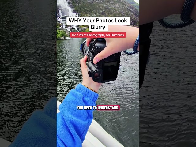 DAY 28 of Photography for Dummies