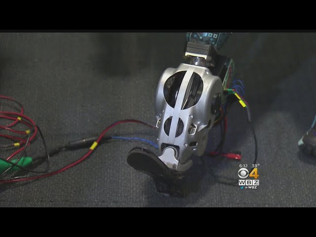 Mind-Controlled Bionic Limbs Developed At MIT