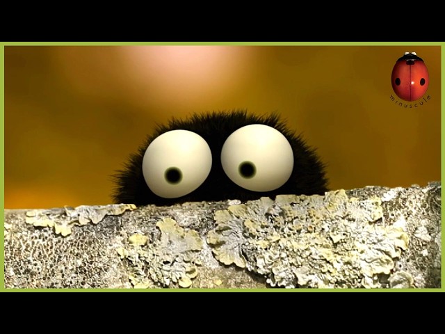 A Pathetic She'Nut'Igan | Minuscule | 25' Compilation