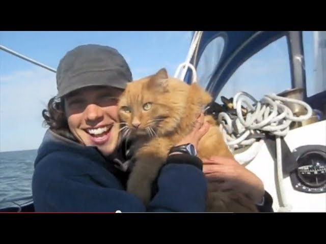 Sailing Simplicity: Life Aboard s/v Daphne a Smallboat, Norsea27