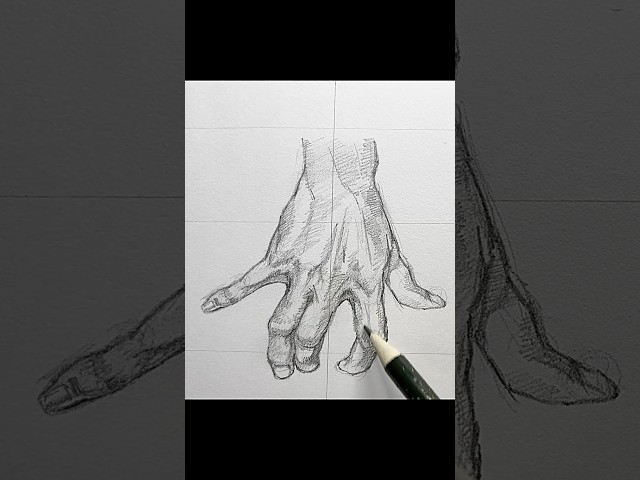 Hand Anatomy Drawing Steps for YouTube Shorts