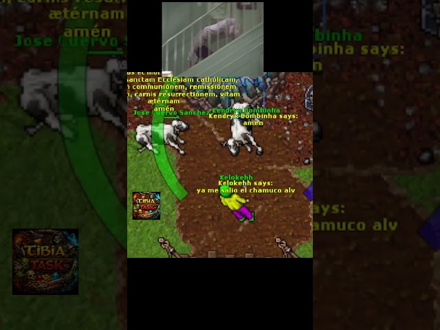 Siii... #tibia #tibiashorts #tibiaglobal #tibiapl #tibiatask