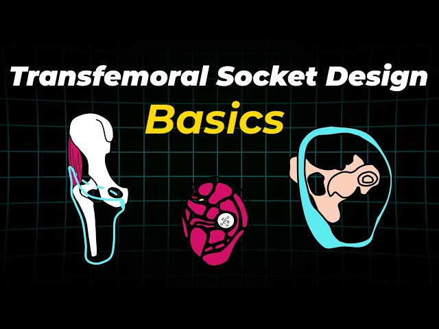 Transfemoral Prosthetic Sockets Explained: What every Amputee & Clinician Should Know!