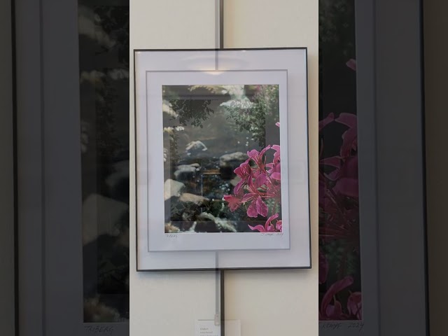 Staff Art Show: Part Two #library #shorts #artshow