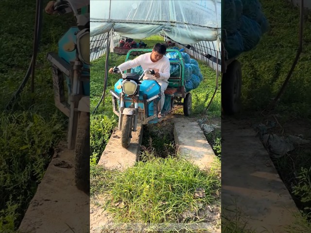 Tricycle Driving Skills on a Narrow Bridge