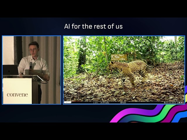 AI in Wildlife Conservation  | Henrik Cox