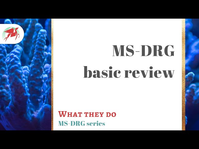 MS-DRG basics