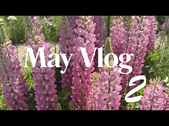 May Vlog 2 | Public Garden Walks, Bike Rides & New DK Shortie Sock Cast On 🧶🌸