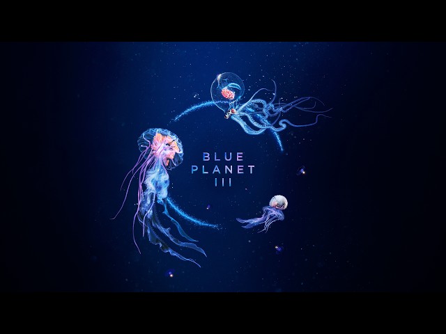 FIRST LOOK: Blue Planet III Trailer | Featuring JADE & Hans Zimmer | BBC Earth