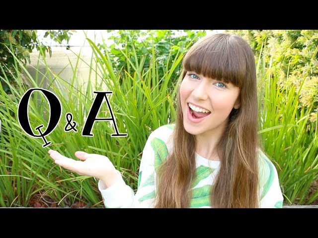 Q&A│Polymer Clay and Future of my Channel?