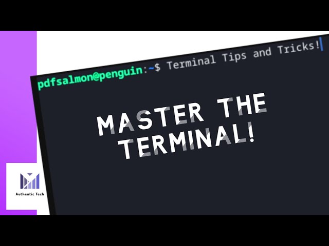 Master the ChromeOS Terminal with these Tips and Tricks!