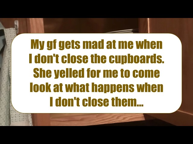 Funny Moments When Animals Were Caught Right in the Act
