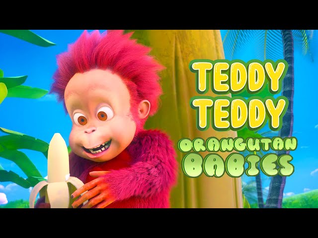 Teddy Teddy - Orangutan Babies | #NurseryRhymes #TeddyTeddy