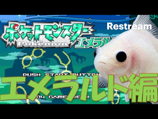 金魚がゲームをプレイ!? → ↑ ← ↓ A B でコメントから操作！　ポケモンエメラルド