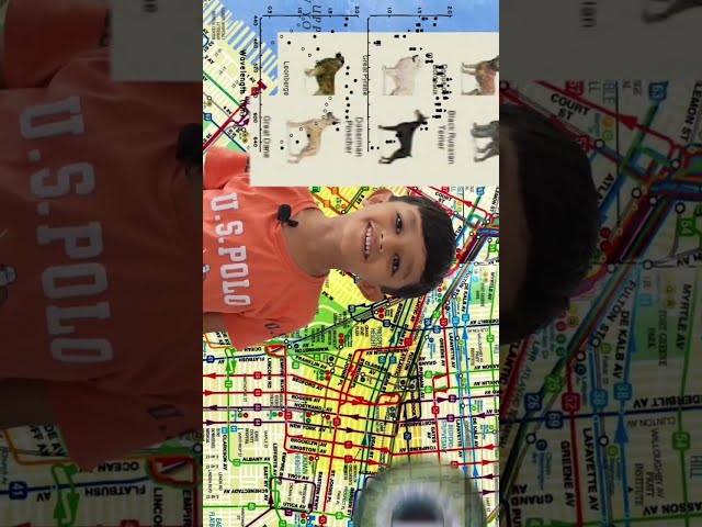 Howetown editing #animation #mapdesign