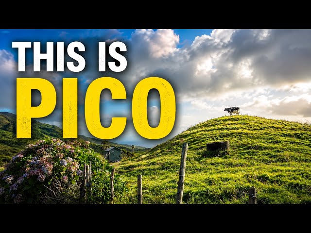 Pico Island, Azores 🇵🇹 | Volcanoes, Vineyards & Island Life