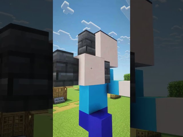 Minecraft Steve Statue Build 😃