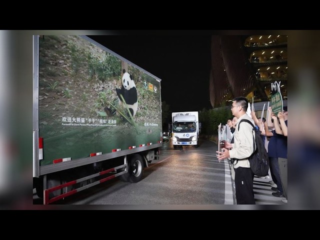2 giant pandas arrive in Atlanta under a US-China government agreement | WHIO TV